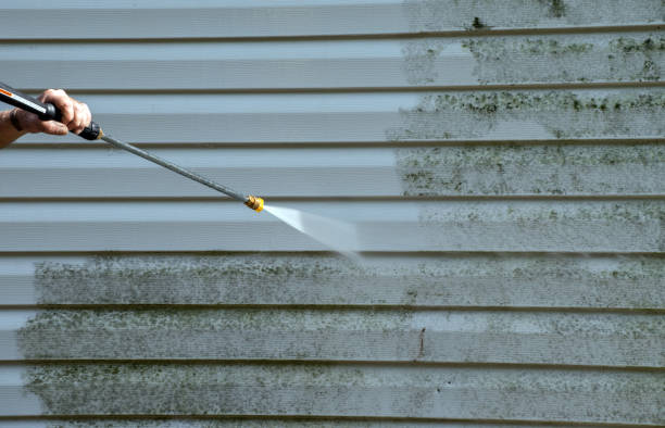 Best Solar Panel Cleaning  in Roosevelt Park, MI